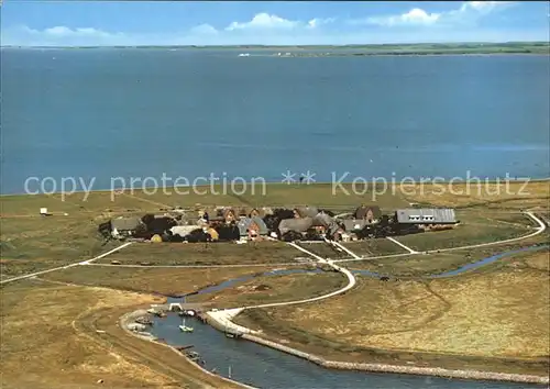 Hallig Oland Oland im Hintergrund die Insel Foehr Kat. Langeness