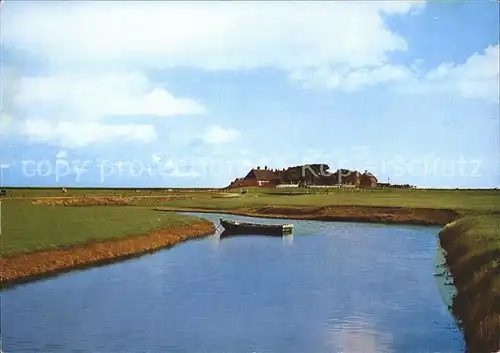 Hallig Hooge Backenswarft mit Priel Kat. Hooge