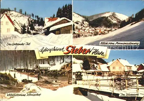 Sieber Kurpark Goldenke Tal Kat. Herzberg am Harz