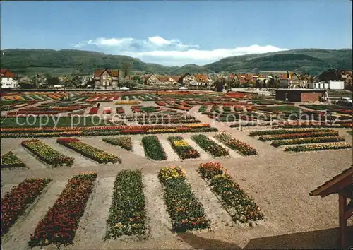 Deckbergen Der Essmannshof Kat. Rinteln