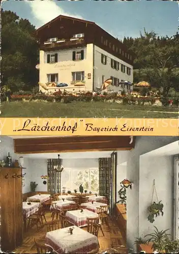 Bayerisch Eisenstein Pension Laerchenhof Kat. Bayerisch Eisenstein