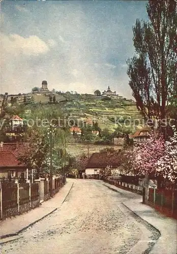 Radebeul Friedensburg und Wasserturm Bluehende Loessnitz Kat. Radebeul