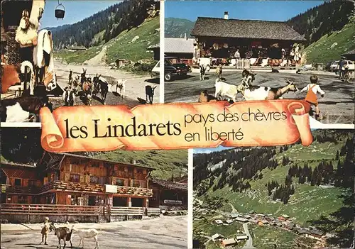 Morzine Les Lindarets Vue partielle Kat. Morzine