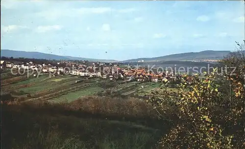 Bremthal Panorama Kat. Eppstein