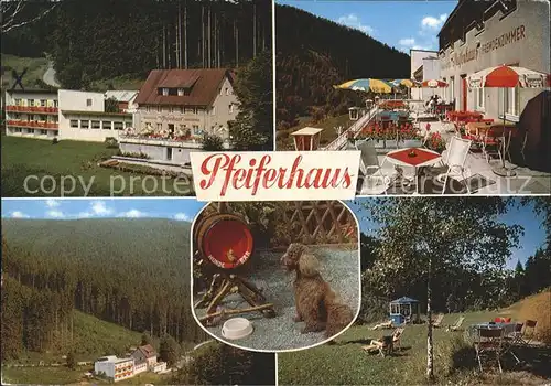 Warmensteinach Waldcafe Pfeiferhaus Terrasse Liegewiese  Kat. Warmensteinach Fichtelgebirge