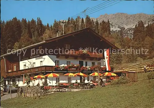 Ellmau Tirol Haflingergetraenke Grubhof am Wilden Kaiser Kat. Ellmau