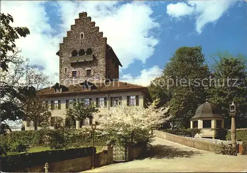 Uster ZH Schloss Uster Kat. Uster
