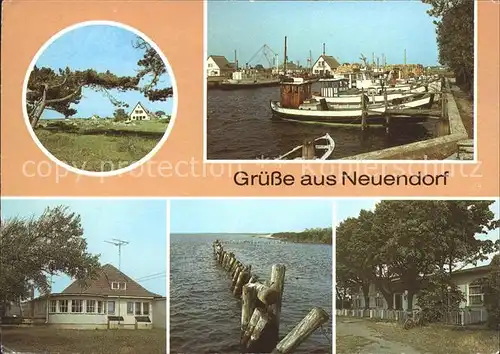 Neuendorf Hiddensee Windfluechter Hafen Strandrestaurant  Kat. Insel Hiddensee