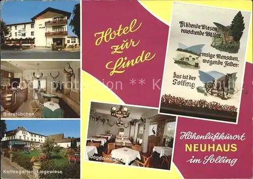 Neuhaus Solling Hotel zur Linde Bierstuebchen Kaffeegarten Liegewiese  Kat. Holzminden