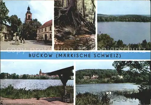 Buckow Maerkische Schweiz Markt Wuerzelfichte Griepensee  Kat. Buckow Maerkische Schweiz