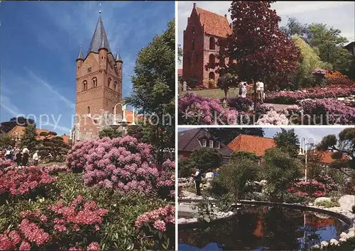 Westerstede Rhododendron Festtage Kat. Westerstede