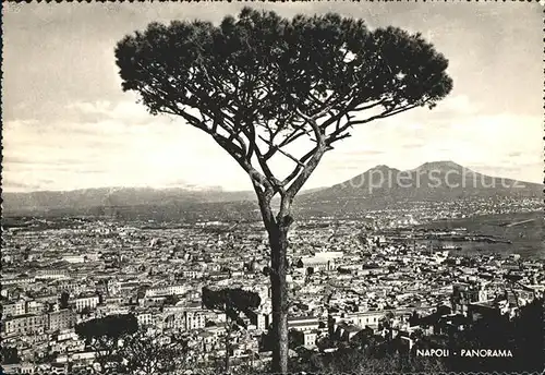 Napoli Neapel Panorama Kat. Napoli