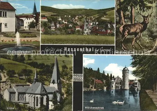 Hessenthal Spessart Maerchenschloss Kirche Wild Kat. Mespelbrunn