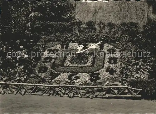 Zittau Blumenuhr Kat. Zittau