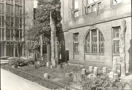 Karl Marx Stadt Versteinerter Wald Staedtisches Museum Kat. Chemnitz