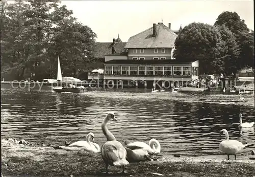 Caputh Gaststaette Cafe Faehrhaus Kat. Schwielowsee