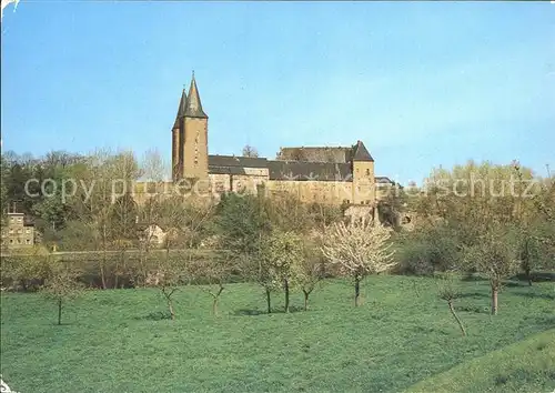 Rochlitz Sachsen mit Schloss Kat. Rochlitz