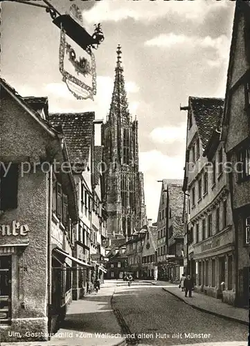 Ulm Donau Gasthausschild zum Walfischn und alten Hut mit Muenster Kat. Ulm