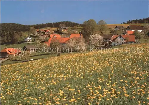 Goerwihl Hartschwand Hotzenwald Kat. Goerwihl