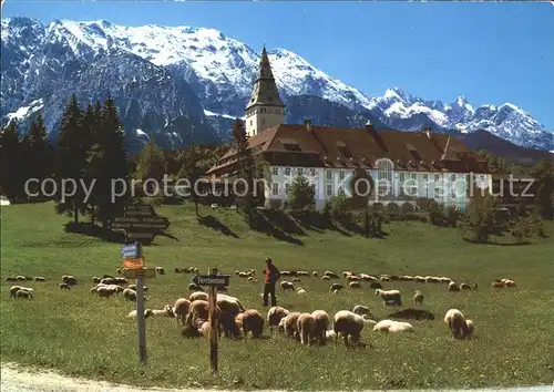 Elmau Schloss mit Schafherde Wettersteingebirge Kat. Kruen