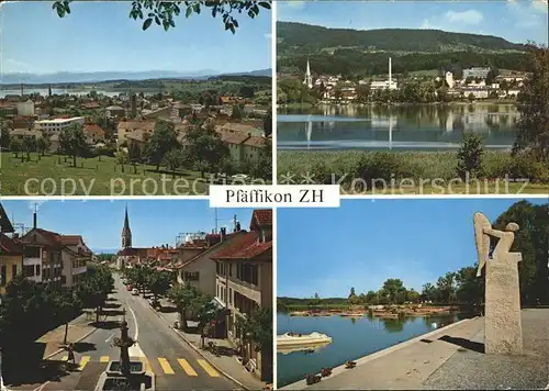 Pfaeffikon ZH Panorama Seepartie Teilansicht Skulptur Kat. Pfaeffikon ZH