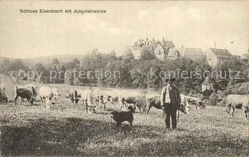 Lauterbach Hessen Schloss Eisenbach mit Jungvieweide Kat. Lauterbach (Hessen)