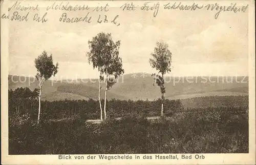 Bad Orb Blick von der Wegscheide ins Haseltal Kat. Bad Orb