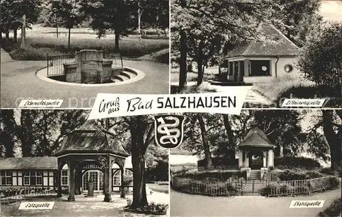 Bad Salzhausen Schwefelquelle Lithiumquelle Stahlquelle Salzquelle Kupfertiefdruck Kat. Nidda