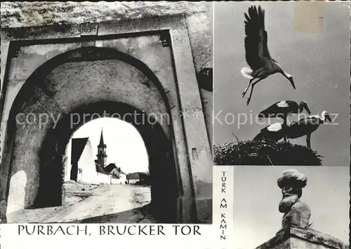 Purbach Neusiedler See Brucker Tor Storchennest Tuerk am Kamin Skulptur Kat. Purbach am Neusiedler See