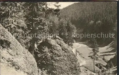 Fehrenbach Thueringer Wald Im Eselsgrund Kat. Masserberg