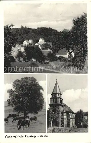 Fussingen Teilansicht Kirche Kuehe Sommerfrische Kat. Waldbrunn (Westerwald)