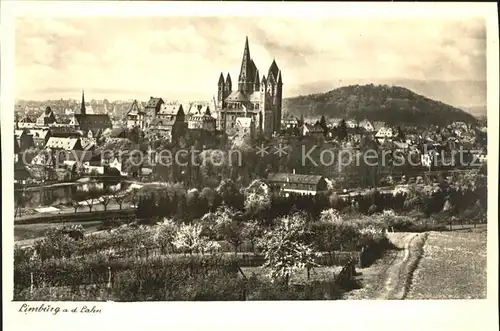 Limburg Lahn Stadtbild mit Dom und Schloss Kat. Limburg a.d. Lahn