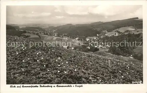 Rechenberg Bienenmuehle Osterzgebirge Panorama Sommerfrische Kat. Rechenberg Bienenmuehle