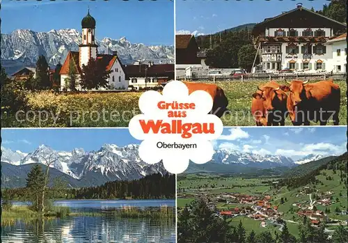 Wallgau Dorfkirche Wettersteingebirge Gasthof Post Barmsee Kuehe Kat. Wallgau