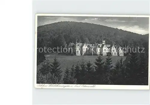 Ernsttal Baden Schloss Waldliningen Kat. Mudau