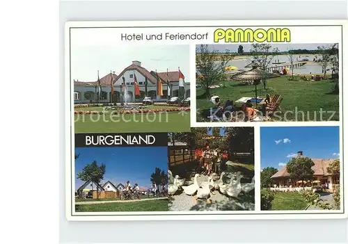 Pamhagen Hotel und Feriendorf Pannonia Teilansichten Kat. Pamhagen