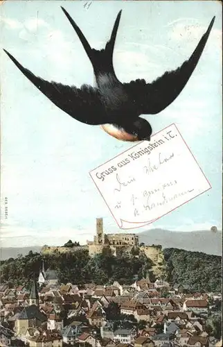 Koenigstein Taunus Stadtansicht mit Schlossruine Briefschwalbe Kat. Koenigstein im Taunus