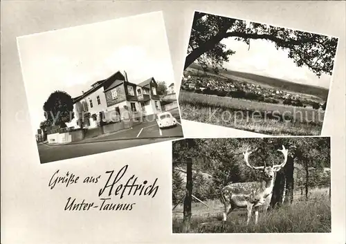 Heftrich Gasthaus Pension Zum Taunus Landschaft Hirsch Kat. Idstein