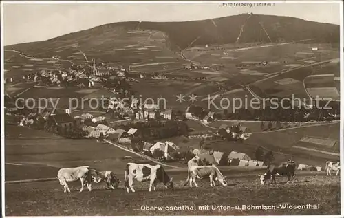 Oberwiesenthal Erzgebirge mit Unterwiesenthal und Boehmisch Wiesenthal Kuehe Kat. Oberwiesenthal