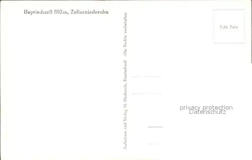 Bayrischzell Zellerniederalm Kuehe Kat. Bayrischzell