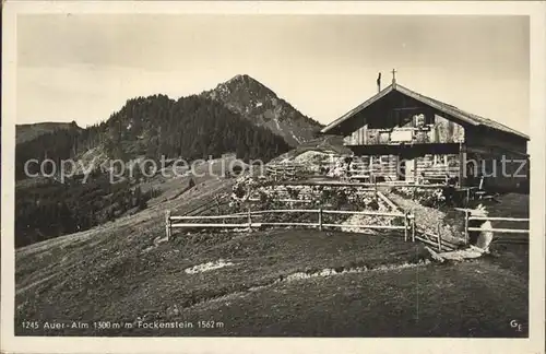 Bad Wiessee Auer Alm mit Fockenstein Kat. Bad Wiessee