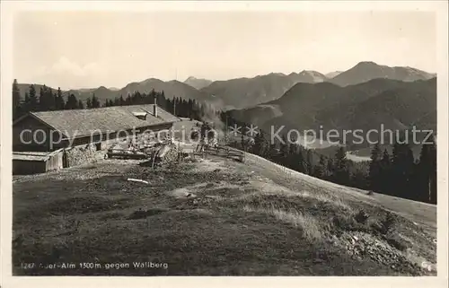 Wallberg Blick von Auer Alm Kat. Tegernsee