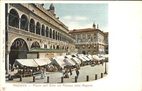 Padova Piazza dell Erbe col Palazzo della Ragione Kat. Padova