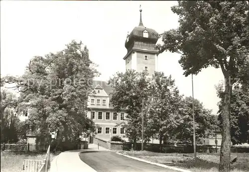 Delitzsch Schloss jetzt Kreisheimatmuseum Kreisgericht Kat. Delitzsch