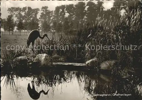 Delmenhorst Graftanlagen Kranich Kat. Delmenhorst