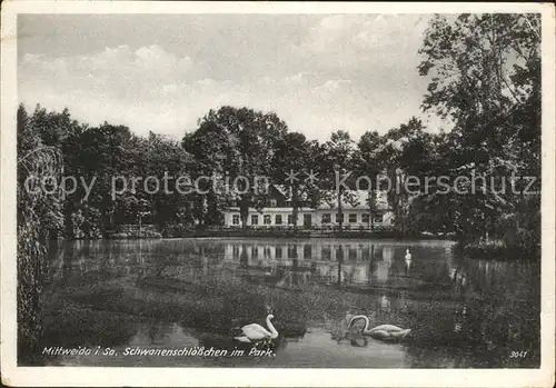 Mittweida Schwanenschloesschen Park Kat. Mittweida