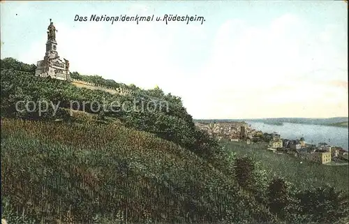 Ruedesheim Rhein mit Nationaldenkmal Kat. Ruedesheim am Rhein