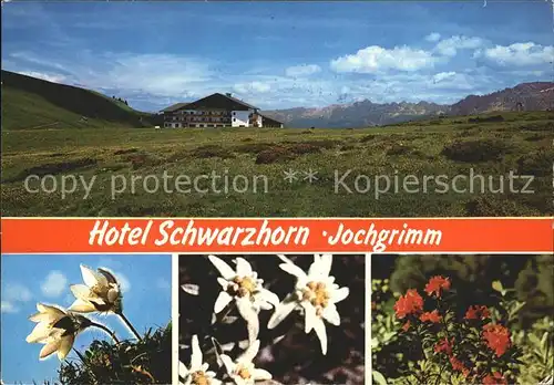 Varena Hotel Schwarzhorn Jochgrimm Alpenflora Kat. Varena
