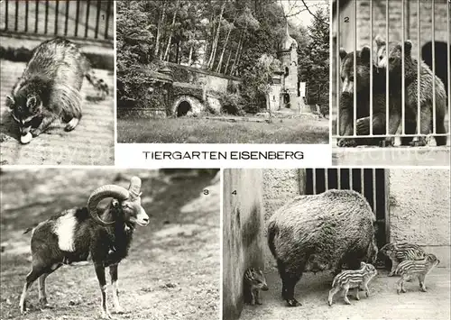 Eisenberg Allgaeu Tiergarten Kat. Eisenberg