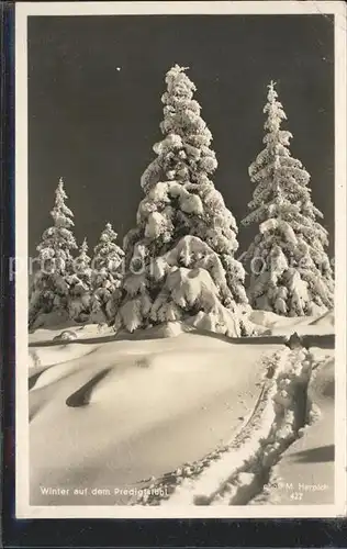 Bad Reichenhall Winter auf dem Predigtstuhl Kat. Bad Reichenhall